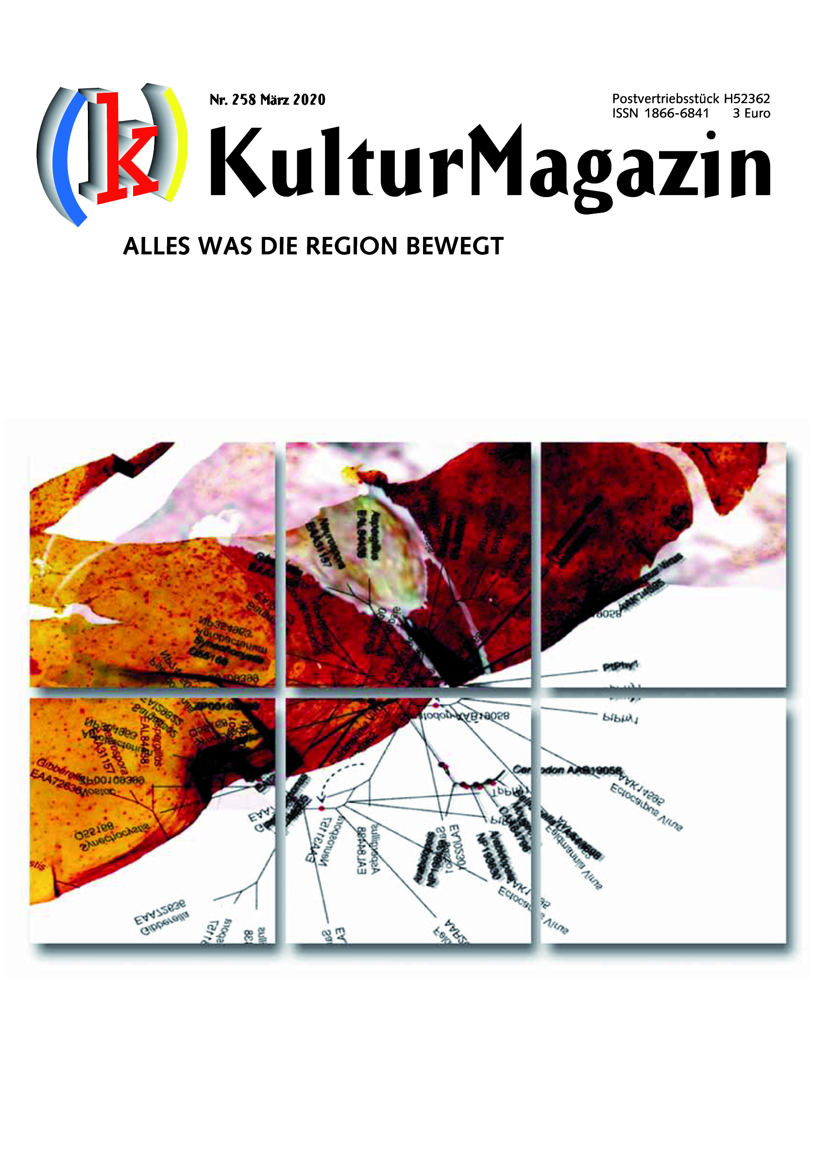 Cover Kulturmagazin 258